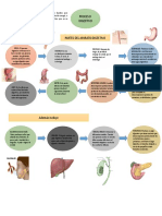 Trabajo Nutricion y Dietetica