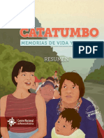 Resumen Ilustrado Catatumbo Memorias de Vida y Dignidad