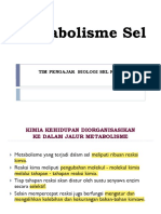 6. Metabolisme Sel