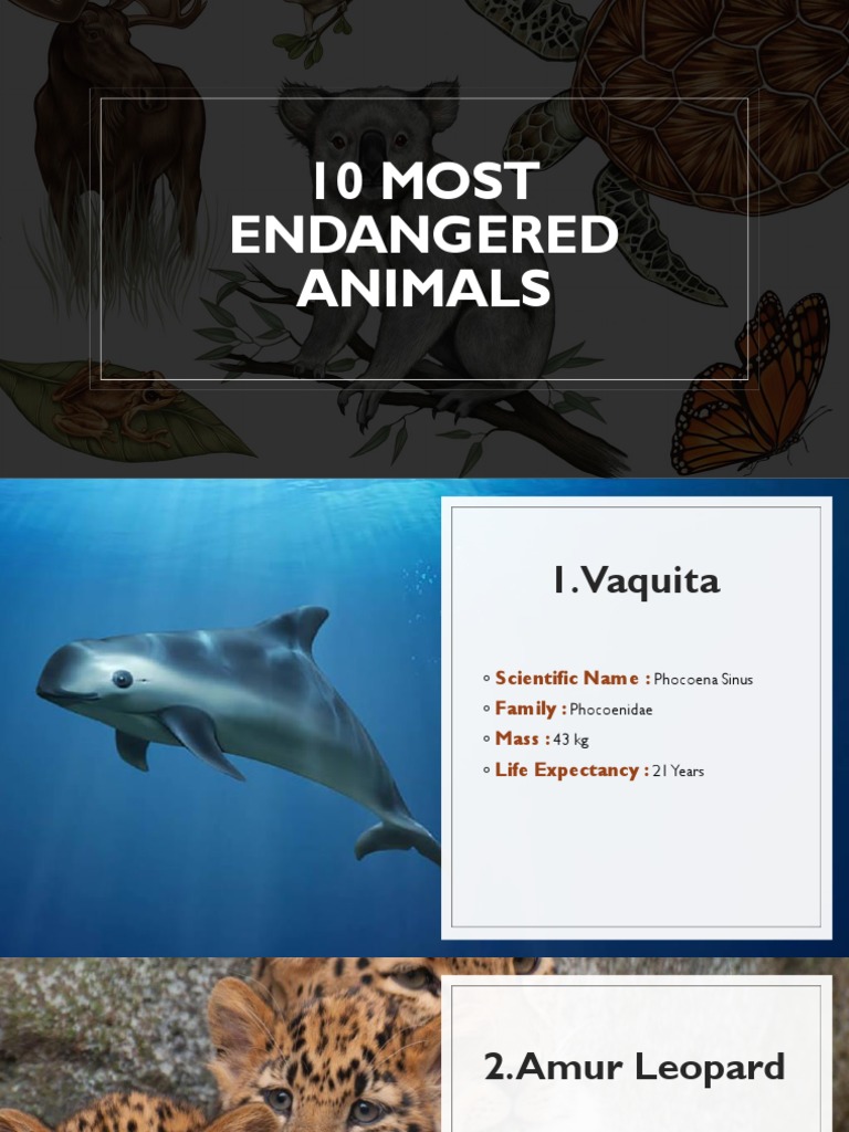 10 Most Endangered Animals | PDF
