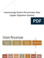 Patofisiologi Ke 3 Sistem Pencernaan Atas Upper Digestive System