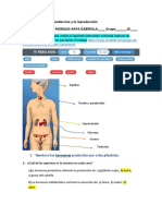 Actividad 9