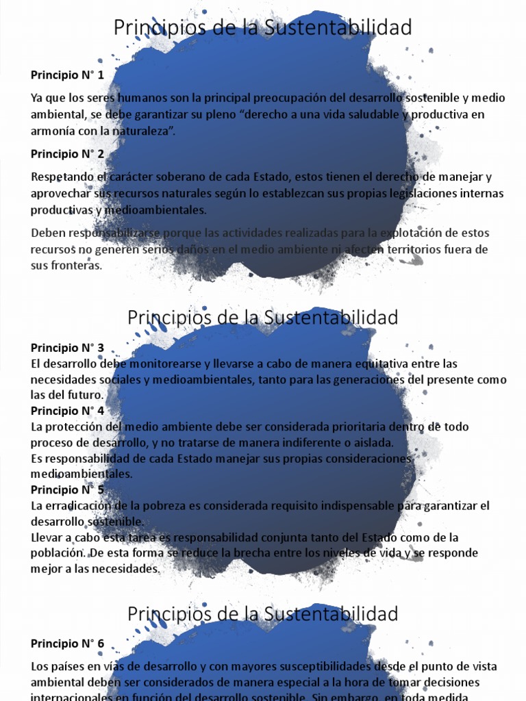 Principios Clave de la Sustentabilidad | PDF | Sustentabilidad ...