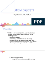 Anatomi Fisiologi Meeting 10 SISTEM DIGESTI