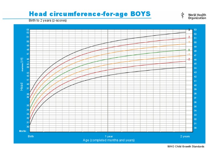 Head Circumference Growth Chart Boys | PDF | Teaching Mathematics