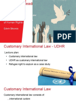 3.1 Customary International Law - UDHR