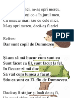 Dacă as Fi Arici