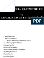 Tavukçulukta İşletme Tipleri Ve Damızlık Tavuk Yetiştiriciliği