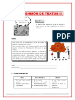 Comprencion de Textos II