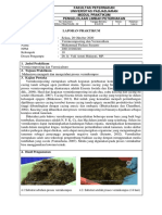 LAPORAN PRAKTIKUM - MATERI 6 - Muhammad Firdaus Susanto - 200110180248