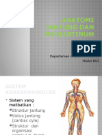Anatomi Jantung Dan Mediastinum