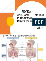 Pemsik Paru