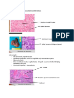 OPTIMIZED TITLES FOR PATHOLOGY DOCUMENT