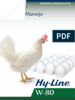 Hy-Line W-80