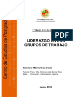 Liderazgo Grupos Trabajo - (FOL)