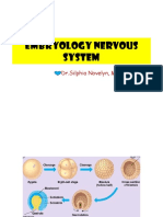 Embriologi Sistem Saraf Blok 16 TA 2020 - 2021