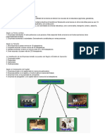 Clasificación de Las Empresas