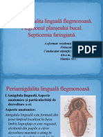 6.periamigdalita Linguală