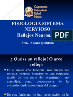 Reflejos nerviosos: evaluación y significado clínico