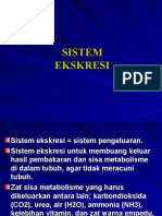 Sistem Ekskresi