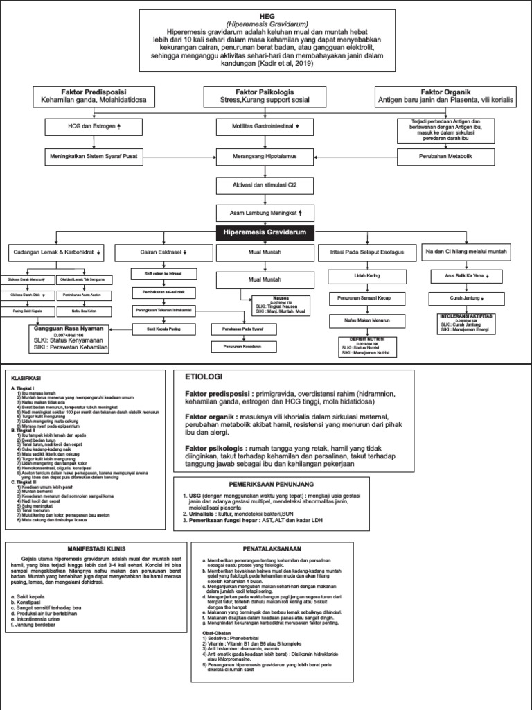 Hiperemesis Gravidarum: Gejala dan Penanganan | PDF