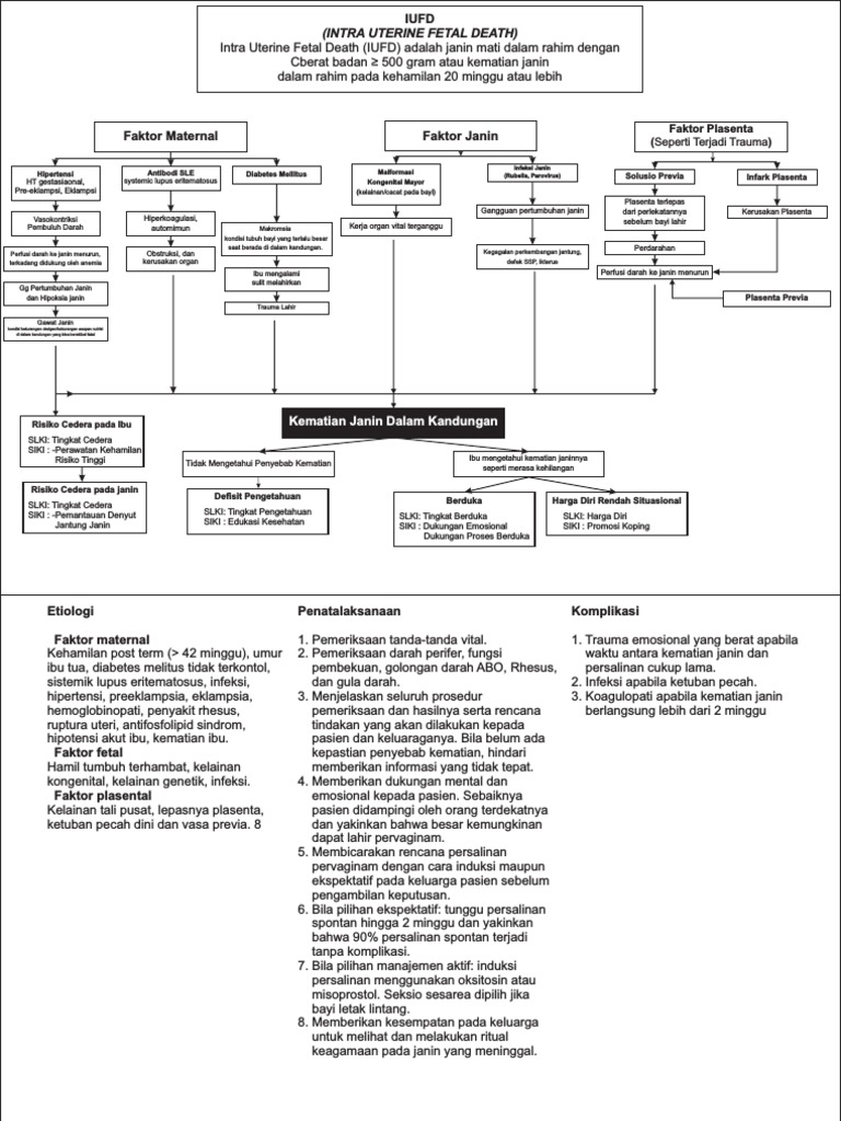 Penatalaksanaan IUFD dan Maserasinya | PDF
