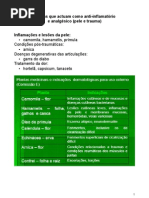 NOVAES, PLANTAS ANALGÉSICAS E ANTIINFLAMATÓRIAS