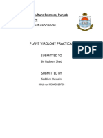 Plant Virology Practical: Institute of Agriculture Sciences