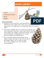 Ds 94 Hranitoare Pentru Pasari Activitate Stem in Aer Liber CC Ver 3