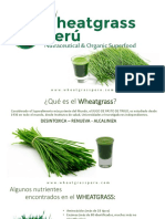Presentacin Wheatgrass PDF