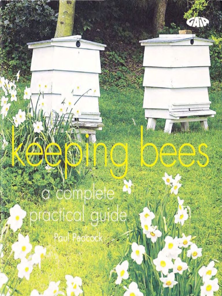 Essential Guide to Beekeeping Basics | PDF | Honey Bee | Beekeeping