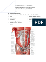 LP Hernia Ina