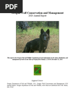 All Wolf Ranks - Powerful Wolves PDF | PDF | Pack (Canine)