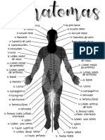 Dermatomas Apunte