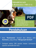 Pendahuluan ITR 2020