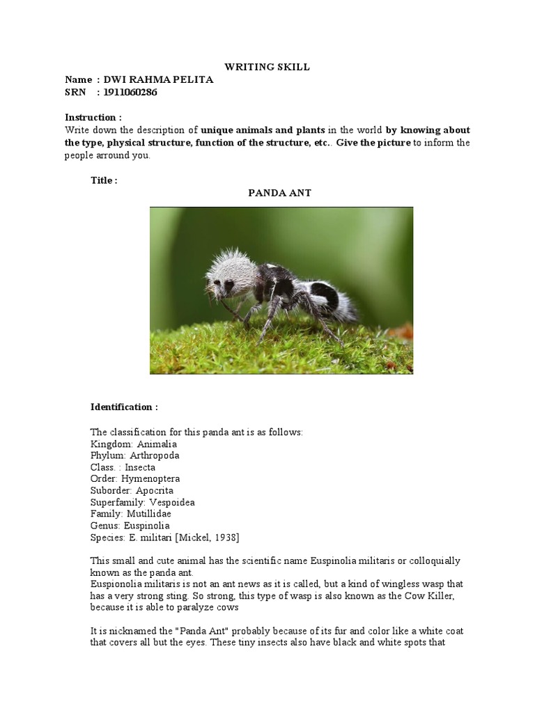 M13 Dwirahmap | Pdf | Ant | Insects