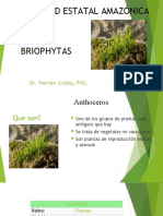 Briophytas