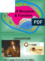 Cell Structure & Function: Key Concepts