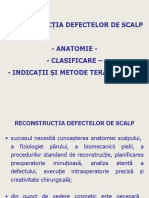 Reconstructia Defectelor de Scalp