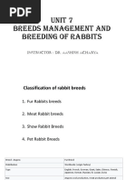 ARBA Recognized Rabbit Breeds Guide | PDF | Animal Breeds | Mammals As Pets