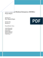MSMEs Project Report