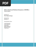 MSMEs Project Report