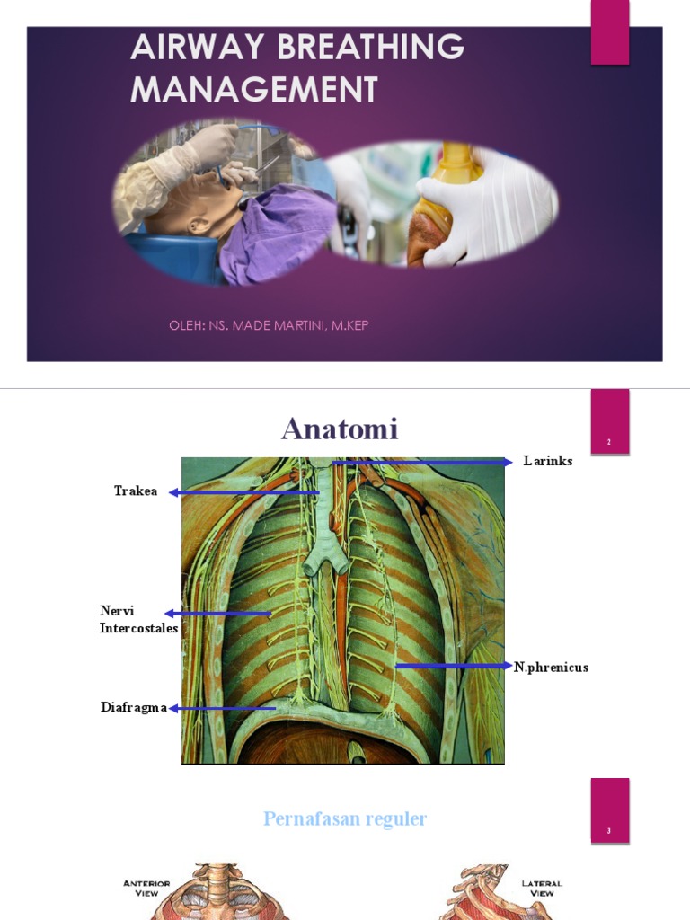 Airway Management and Obstruction Solutions | PDF | Respiratory System ...