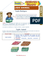 Tejido Animal para Quinto Grado de Primaria