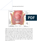 Hemorroid