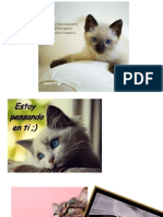 gatitos mensajes