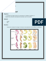 Science10 - Pascal - GarcesKurtJoseph - Learning Task 5.3