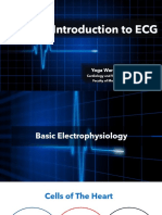 ECG Course - Introduction To ECG