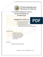 Seminario Dimension Vertical