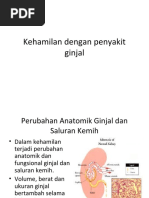 Download Kehamilan dengan penyakit ginjal baru edit by Indria Febriani SN50409813 doc pdf